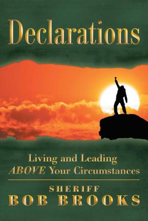 Cover of the book Declarations by Donna Friend