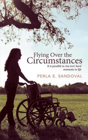 Cover of the book Flying over the Circumstances by Luteria Archambault.