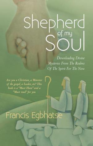 Cover of the book Shepherd of My Soul by Dr. Jeff Parker