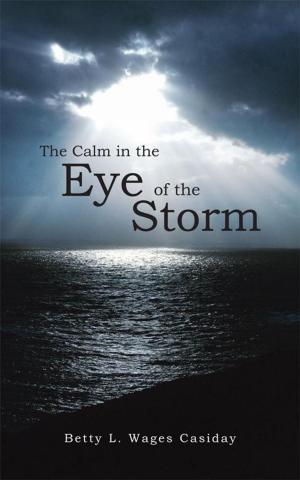Cover of the book The Calm in the Eye of the Storm by David Robert Jones