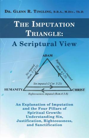 Cover of the book The Imputation Triangle: a Scriptural View by Terry G. Nelson Sr.