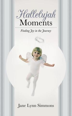 Cover of the book Hallelujah Moments by John Benjamin