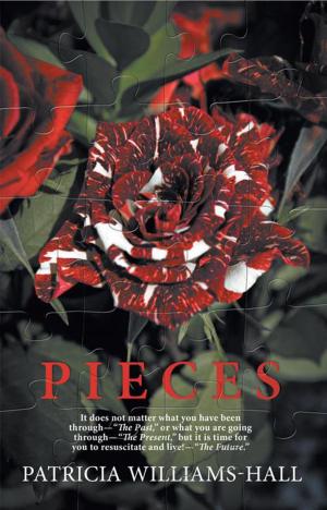Cover of the book Pieces by Jerry R Griffith Jr