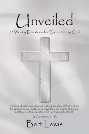 Cover of the book Unveiled by Nancy Rose Blomiley