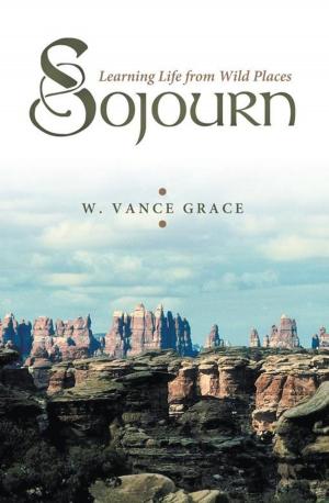 Cover of the book Sojourn by L. Kay Adams