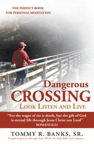 Cover of the book Dangerous Crossing - Look Listen and Live by Kaitlin Dennis