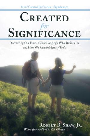 Cover of the book Created for Significance by John V. Coniglio