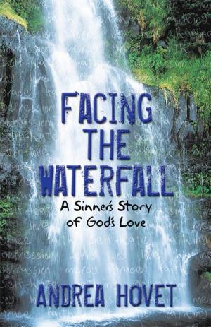 Cover of the book Facing the Waterfall by Maggie Bruehl
