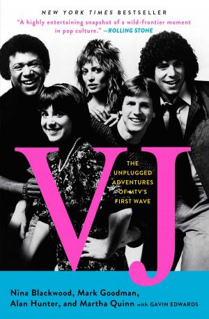 Cover of the book VJ by Stephanie Elizondo Griest