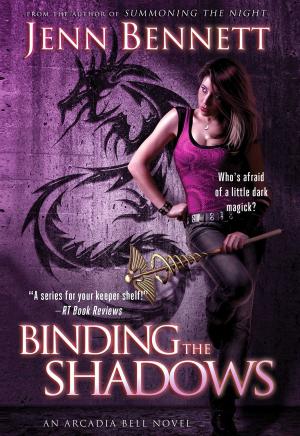 Cover of the book Binding the Shadows by Melissa Mayhue