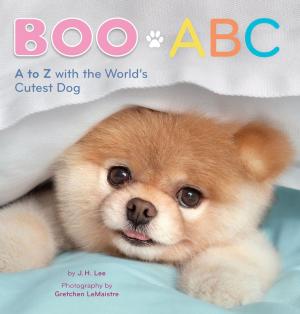 Cover of the book Boo ABC by Ben Queen, Karen Paik, John Lasseter