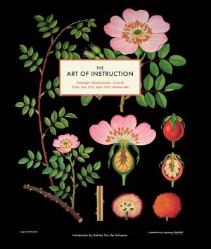 Cover of the book The Art of Instruction by Susannah Conway, Amanda Gilligan, Jenifer Altman