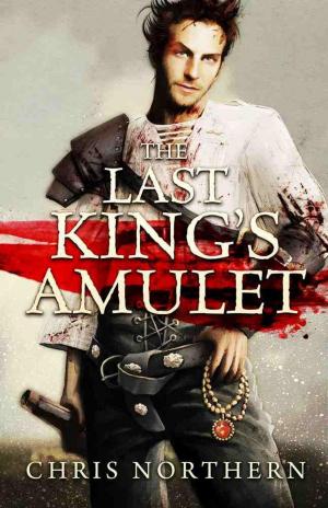 Cover of the book The Last King's Amulet by Lady Li Andre