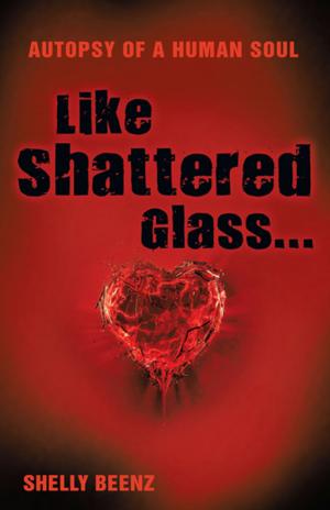 Cover of the book Like Shattered Glass... by Lupita Samuels