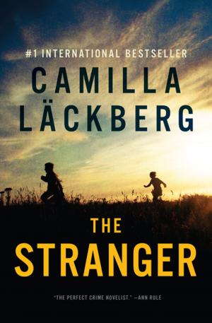 Cover of the book The Stranger by Ellen Datlow