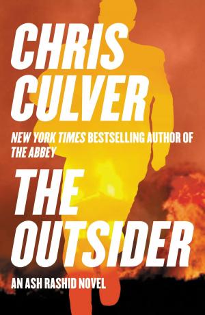 Book cover of The Outsider