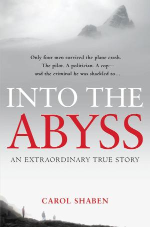 Cover of the book Into the Abyss by M. C. Beaton