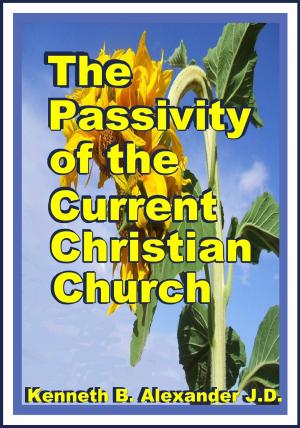 Book cover of The Passivity of the Current Christian Church