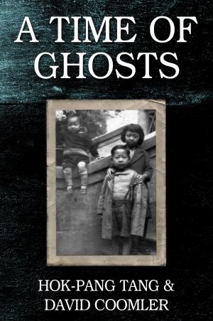 Cover of the book A Time of Ghosts by Isabelle Alexander