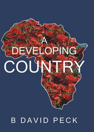 bigCover of the book A Developing Country by 