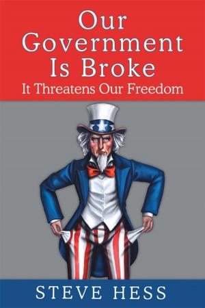 Cover of the book Our Government Is Broke by Laura Ryan Fedelia
