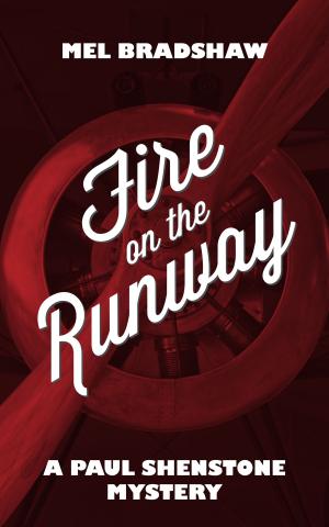 Cover of the book Fire on the Runway by J.C. Villamere