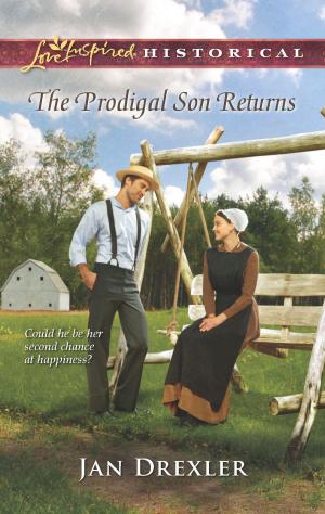 Book cover of The Prodigal Son Returns