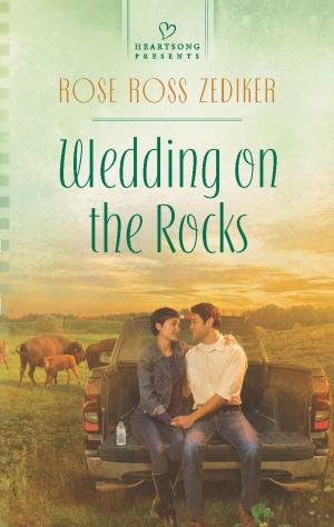Cover of the book Wedding on the Rocks by Janet Mullany