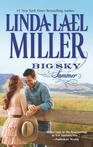 Book cover of Big Sky Summer