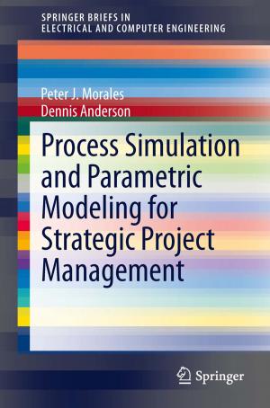 Cover of the book Process Simulation and Parametric Modeling for Strategic Project Management by Joseph N. Pelton
