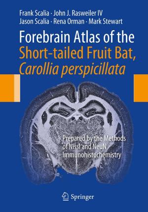 Cover of the book Forebrain Atlas of the Short-tailed Fruit Bat, Carollia perspicillata by Victor J. Tremblay, Carol Horton Tremblay