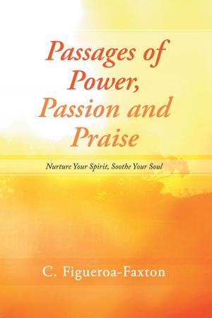 Cover of the book Passages of Power, Passion and Praise by Linda Bishop Foley