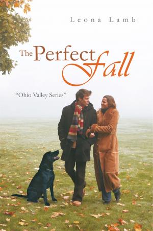Cover of the book The Perfect Fall by Dr. Christa Metzger