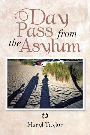 Book cover of Day Pass from the Asylum