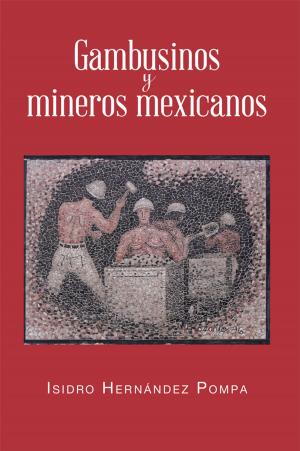 Cover of the book Gambusinos Y Mineros Mexicanos by Mónica Ramírez Chimal
