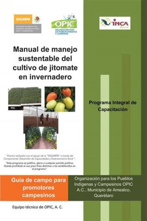 Cover of the book Manual De Manejo Sustentable Del Cultivo De Jitomate En Invernadero by Erlin Herrera Donate