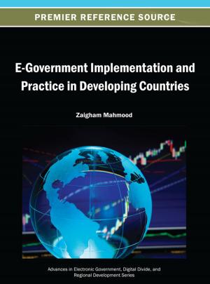Cover of the book E-Government Implementation and Practice in Developing Countries by Kazuya Odagiri