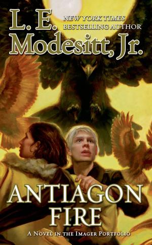 Cover of the book Antiagon Fire by Timothy Zahn