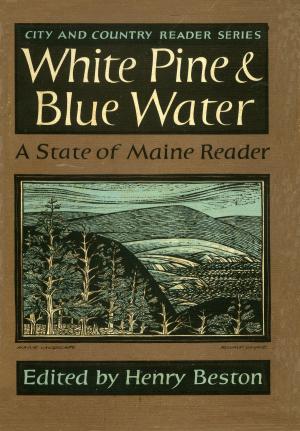 Cover of the book White Pine and Blue Water by Dror Burstein