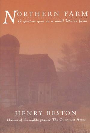 Cover of the book The Northern Farm by Gregg D. Jacobs
