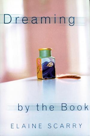 Cover of the book Dreaming by the Book by Lori D. Ginzberg