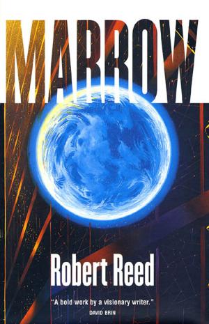 Cover of the book Marrow by Karl Schroeder