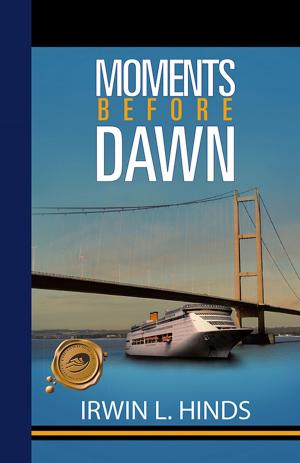 Cover of the book Moments Before Dawn by Paul Densmore
