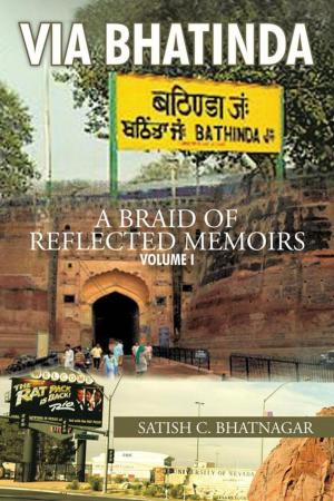 Cover of the book Via Bhatinda by Jamie Emery