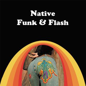 Cover of the book Native Funk & Flash by Miriam Delicado