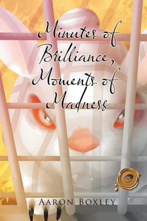 Cover of the book Minutes of Brilliance, Moments of Madness by James Kaye