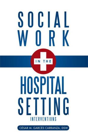 Cover of the book Social Work in the Hospital Setting by Ginny A Vere Nicoll
