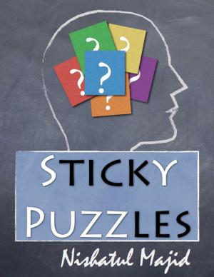 Cover of the book Sticky Puzzles by John O'Loughlin