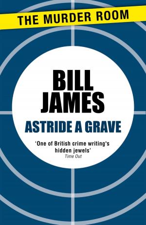 Book cover of Astride a Grave