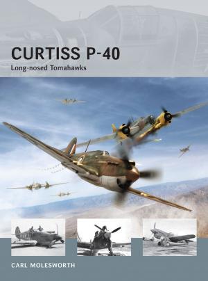 Book cover of Curtiss P-40